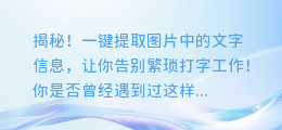 揭秘!一键提取图片中的文字信息，让你告别繁琐打字工作!