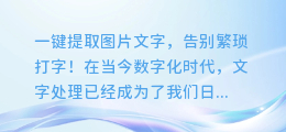 神奇技术！一键提取图片文字，告别繁琐打字！