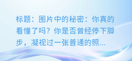 图片中的秘密：你真的看懂了吗？