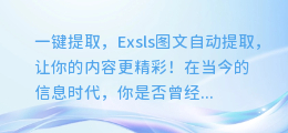 一键提取，Exsls图文自动提取，让你的内容更精彩！