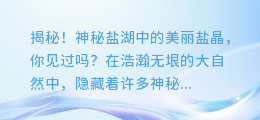 揭秘！神秘盐湖中的美丽盐晶，你见过吗？