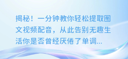 揭秘！一分钟教你轻松提取图文视频配音，从此告别无趣生活