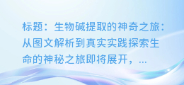 生物碱提取的神奇之旅：从图文解析到真实实践