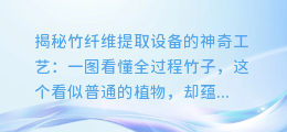 揭秘竹纤维提取设备的神奇工艺：一图看懂全过程