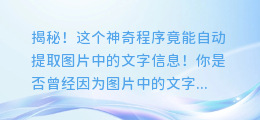 揭秘！这个神奇程序竟能自动提取图片中的文字信息！