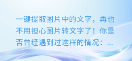 一键提取图片中的文字，再也不用担心图片转文字了！