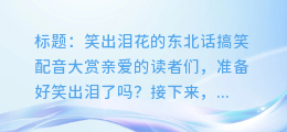 东北话搞笑配音：让你笑出泪的合集