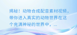 揭秘！动物合成配音素材视频，带你进入真实的动物世界