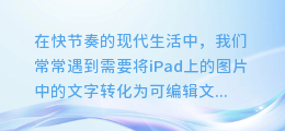 iPad截图秒变文本神器！轻松提取图片中的文字，让你的工作更高效！